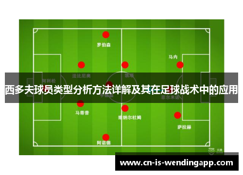 西多夫球员类型分析方法详解及其在足球战术中的应用