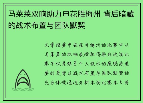 马莱莱双响助力申花胜梅州 背后暗藏的战术布置与团队默契
