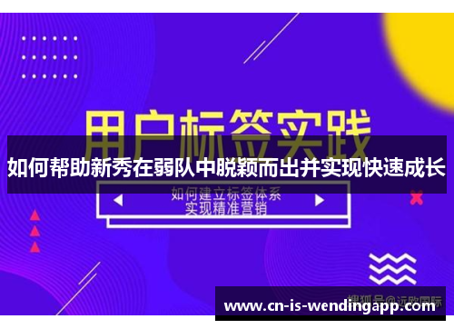 如何帮助新秀在弱队中脱颖而出并实现快速成长