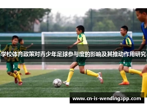 学校体育政策对青少年足球参与度的影响及其推动作用研究