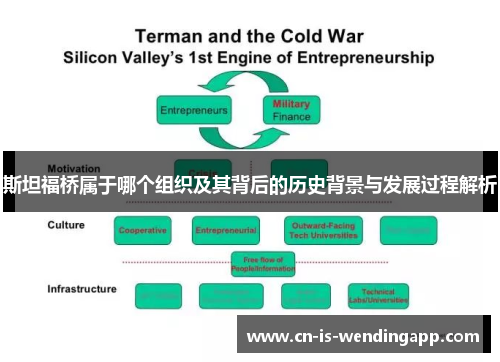 斯坦福桥属于哪个组织及其背后的历史背景与发展过程解析 斯坦福桥属于哪个组织及其背后的历史背景与发展过程解析