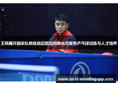 王皓离开国家队教练组后新动向曝光将聚焦乒乓球训练与人才培养