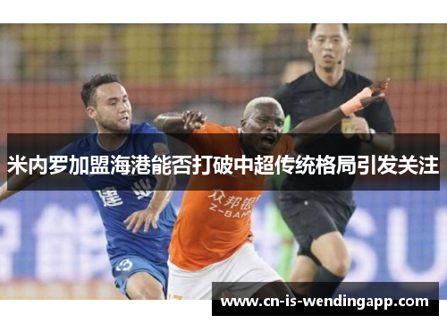 米内罗加盟海港能否打破中超传统格局引发关注