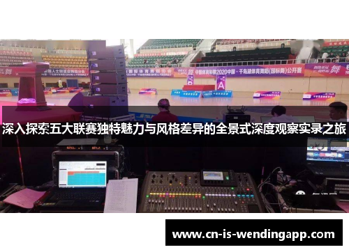深入探索五大联赛独特魅力与风格差异的全景式深度观察实录之旅