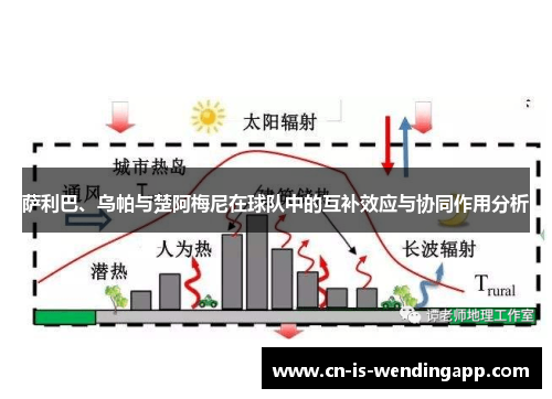 萨利巴、乌帕与楚阿梅尼在球队中的互补效应与协同作用分析