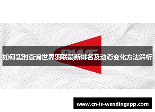 如何实时查询世界羽联最新排名及动态变化方法解析