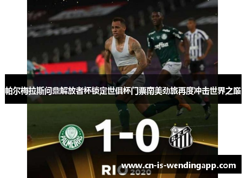 帕尔梅拉斯问鼎解放者杯锁定世俱杯门票南美劲旅再度冲击世界之巅 帕尔梅拉斯问鼎解放者杯锁定世俱杯门票南美劲旅再度冲击世界之巅
