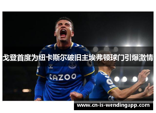 戈登首度为纽卡斯尔破旧主埃弗顿球门引爆激情 戈登首度为纽卡斯尔破旧主埃弗顿球门引爆激情