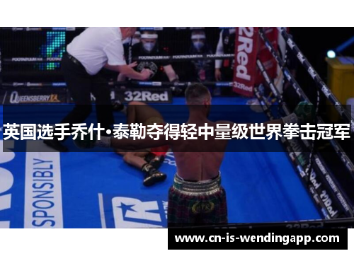 英国选手乔什·泰勒夺得轻中量级世界拳击冠军