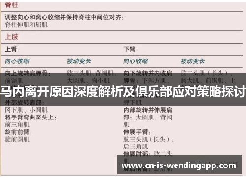 马内离开原因深度解析及俱乐部应对策略探讨