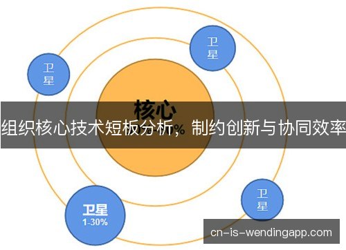 组织核心技术短板分析,制约创新与协同效率 组织核心技术短板分析,制约创新与协同效率